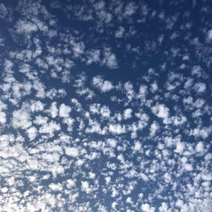 Meet your Posher, Hyo sun